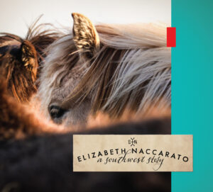 Elizabeth Naccarato | A Southwest Story | Album Review