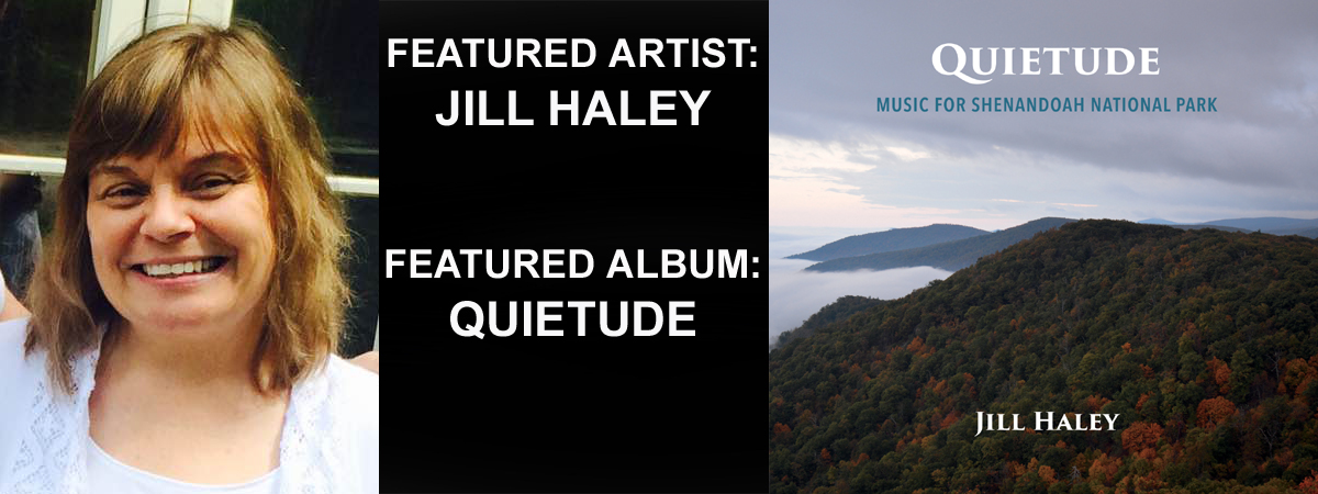 JILL HALEY BANNER QUIETUDE copy
