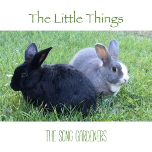 The Song Gardeners | The Little Things | Single Review